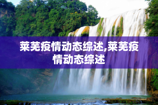 莱芜疫情动态综述,莱芜疫情动态综述
