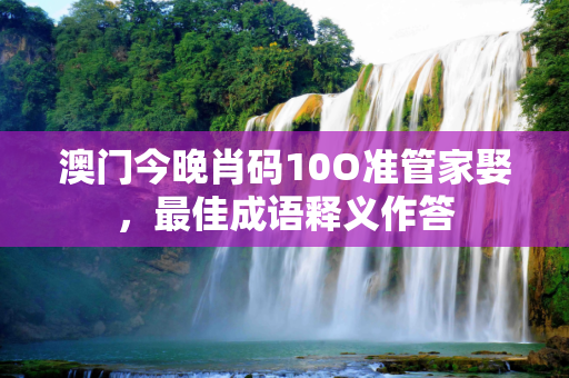 澳门今晚肖码10O准管家娶，最佳成语释义作答