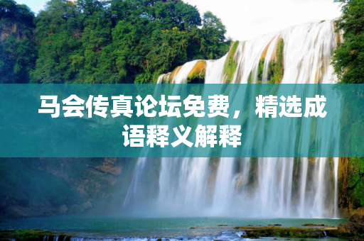 马会传真论坛免费，精选成语释义解释