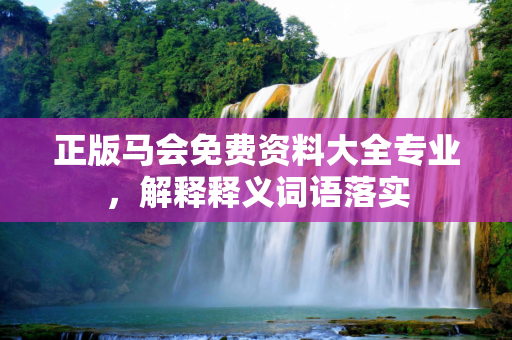 正版马会免费资料大全专业，解释释义词语落实