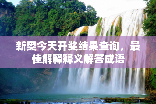 新奥今天开奖结果查询，最佳解释释义解答成语