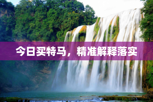 今日买特马，精准解释落实