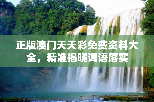 正版澳门天天彩免费资料大全，精准揭晓词语落实