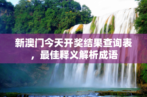 新澳门今天开奖结果查询表，最佳释义解析成语