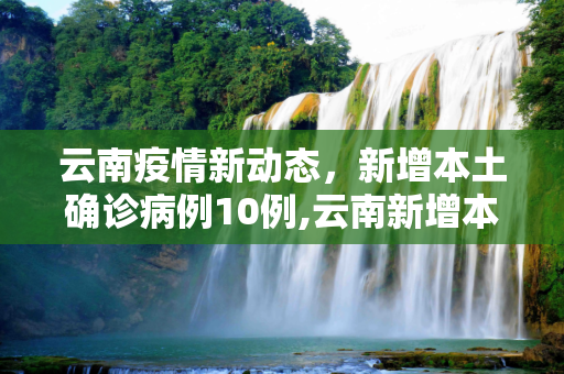 云南疫情新动态，新增本土确诊病例10例,云南新增本土确诊病例10例