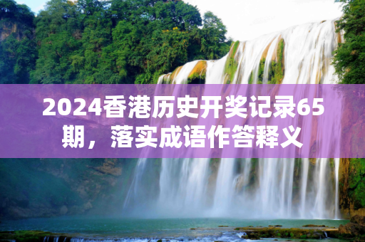 2024香港历史开奖记录65期，落实成语作答释义