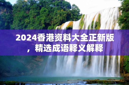 2024香港资料大全正新版，精选成语释义解释