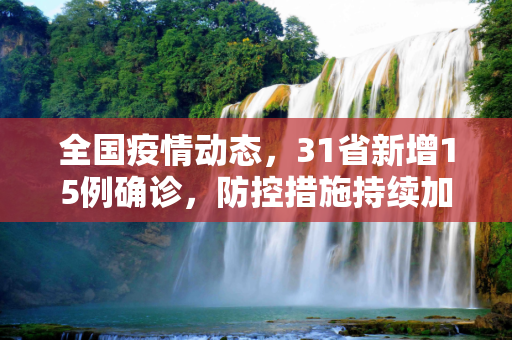 全国疫情动态，31省新增15例确诊，防控措施持续加强,31省新增15例确诊