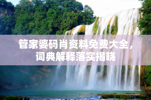 管家婆码肖资料免费大全，词典解释落实揭晓