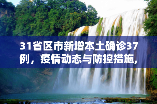 31省区市新增本土确诊37例，疫情动态与防控措施,31省区市新增本土确诊37例