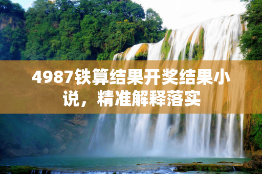 第1017页
