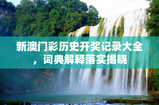 新澳门彩历史开奖记录大全，词典解释落实揭晓