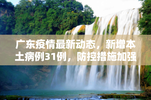 广东疫情最新动态，新增本土病例31例，防控措施加强,广东新增本土31例