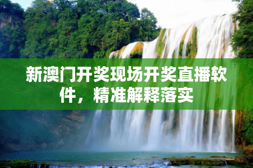 新澳门开奖现场开奖直播软件，精准解释落实