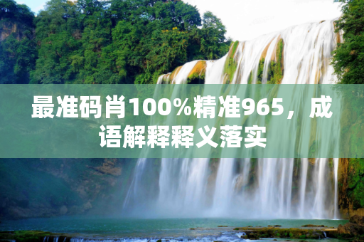 最准码肖100%精准965，成语解释释义落实
