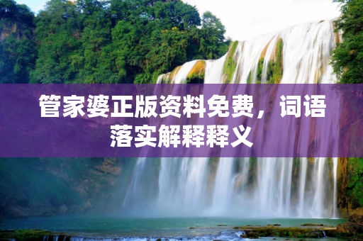 管家婆正版资料免费，词语落实解释释义