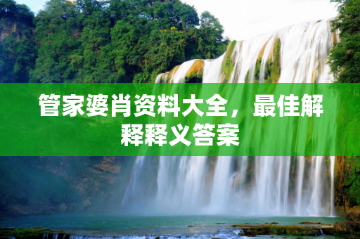 管家婆肖资料大全，最佳解释释义答案