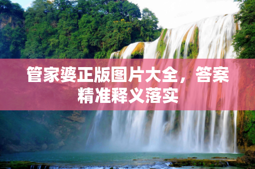 管家婆正版图片大全，答案精准释义落实