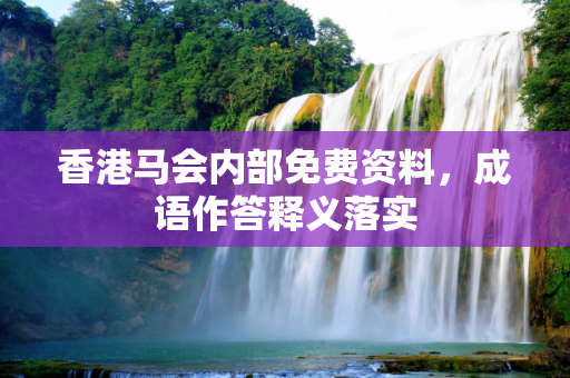 香港马会内部免费资料，成语作答释义落实