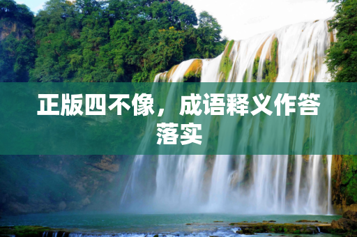 正版四不像，成语释义作答落实
