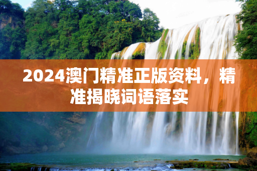 2024澳门精准正版资料，精准揭晓词语落实
