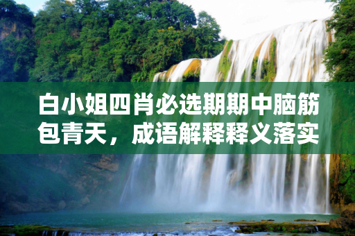 白小姐四肖必选期期中脑筋包青天，成语解释释义落实