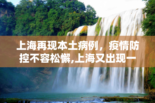 上海再现本土病例，疫情防控不容松懈,上海又出现一例本土病例