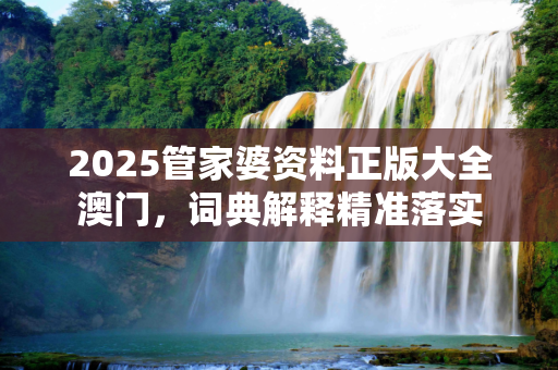 2025管家婆资料正版大全澳门，词典解释精准落实