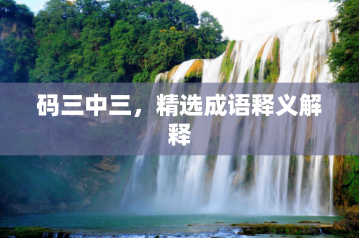 码三中三，精选成语释义解释