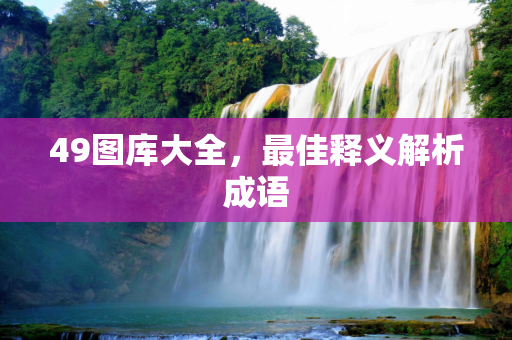 49图库大全，最佳释义解析成语
