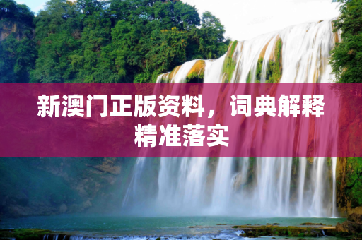 新澳门正版资料，词典解释精准落实