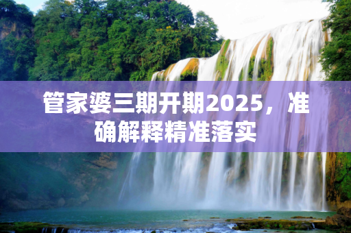 管家婆三期开期2025，准确解释精准落实