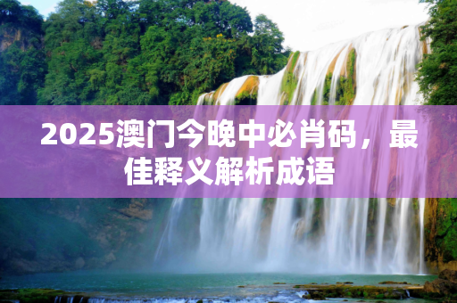 2025澳门今晚中必肖码，最佳释义解析成语