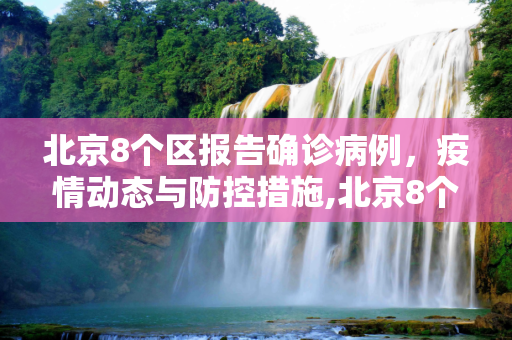 北京8个区报告确诊病例，疫情动态与防控措施,北京8个区已报告确诊病例