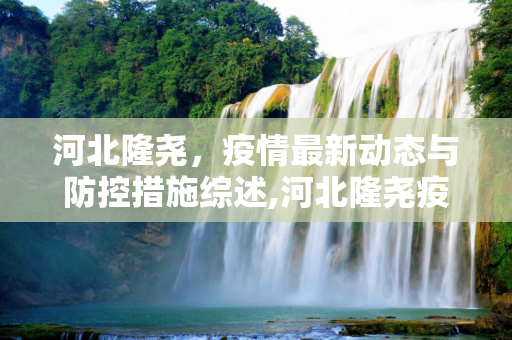 河北隆尧，疫情最新动态与防控措施综述,河北隆尧疫情最新消息