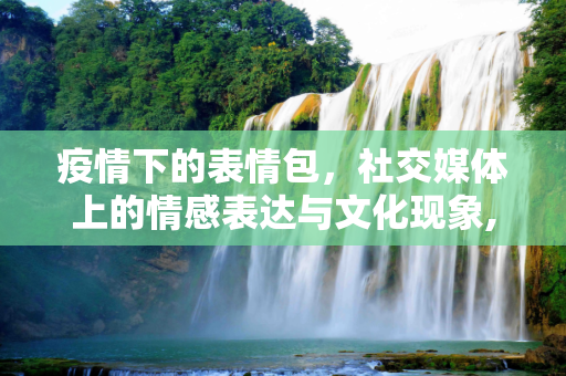 疫情下的表情包，社交媒体上的情感表达与文化现象,疫情下的表情包