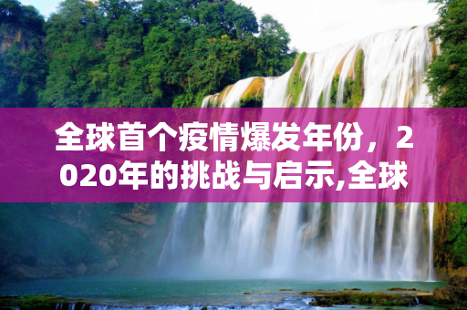 全球首个疫情爆发年份，2020年的挑战与启示,全球首个疫情爆发年份