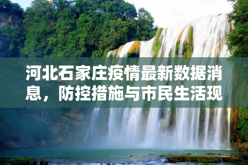 河北石家庄疫情最新数据消息，防控措施与市民生活现状,河北石家庄疫情最新数据消息