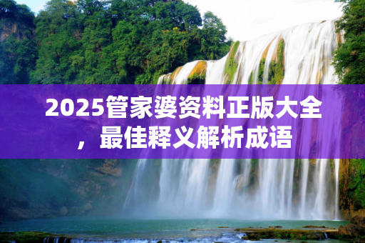2025管家婆资料正版大全，最佳释义解析成语