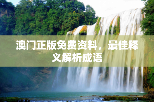 澳门正版免费资料，最佳释义解析成语