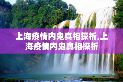 上海疫情内鬼真相探析,上海疫情内鬼真相探析