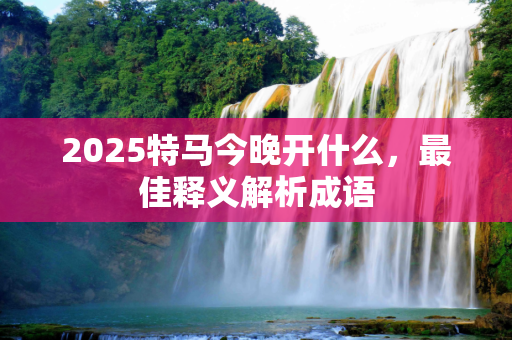 2025特马今晚开什么，最佳释义解析成语
