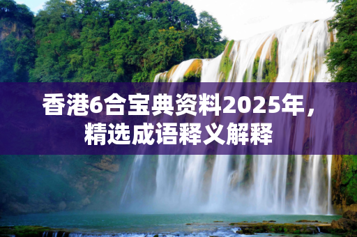 香港6合宝典资料2025年，精选成语释义解释