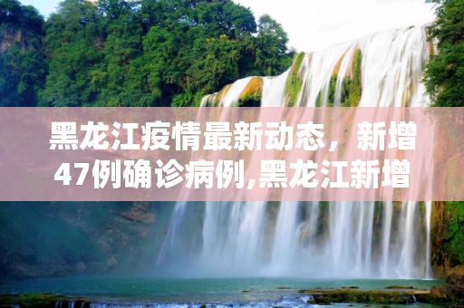 黑龙江疫情最新动态，新增47例确诊病例,黑龙江新增47例确诊