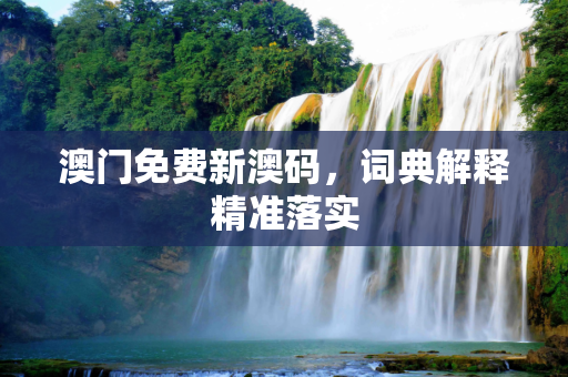 澳门免费新澳码，词典解释精准落实