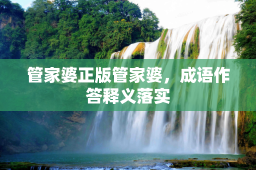 管家婆正版管家婆，成语作答释义落实