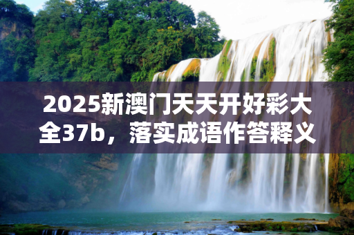 2025新澳门天天开好彩大全37b，落实成语作答释义