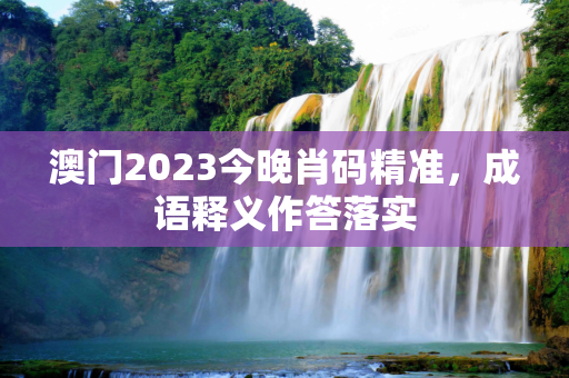 澳门2023今晚肖码精准，成语释义作答落实