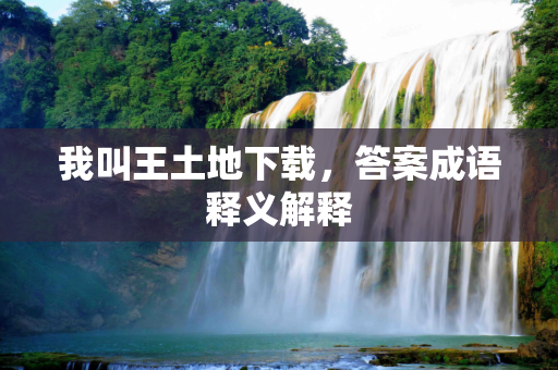 我叫王土地下载，答案成语释义解释
