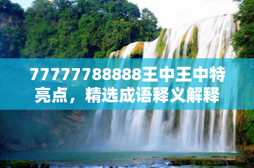 77777788888王中王中特亮点，精选成语释义解释